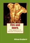 Fire and more. front cover