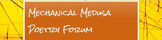 Mechanical Medusa Poetry Forum 1